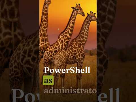 Why NEMOCLAW Won’t Run on Windows (DO THIS INSTEAD)